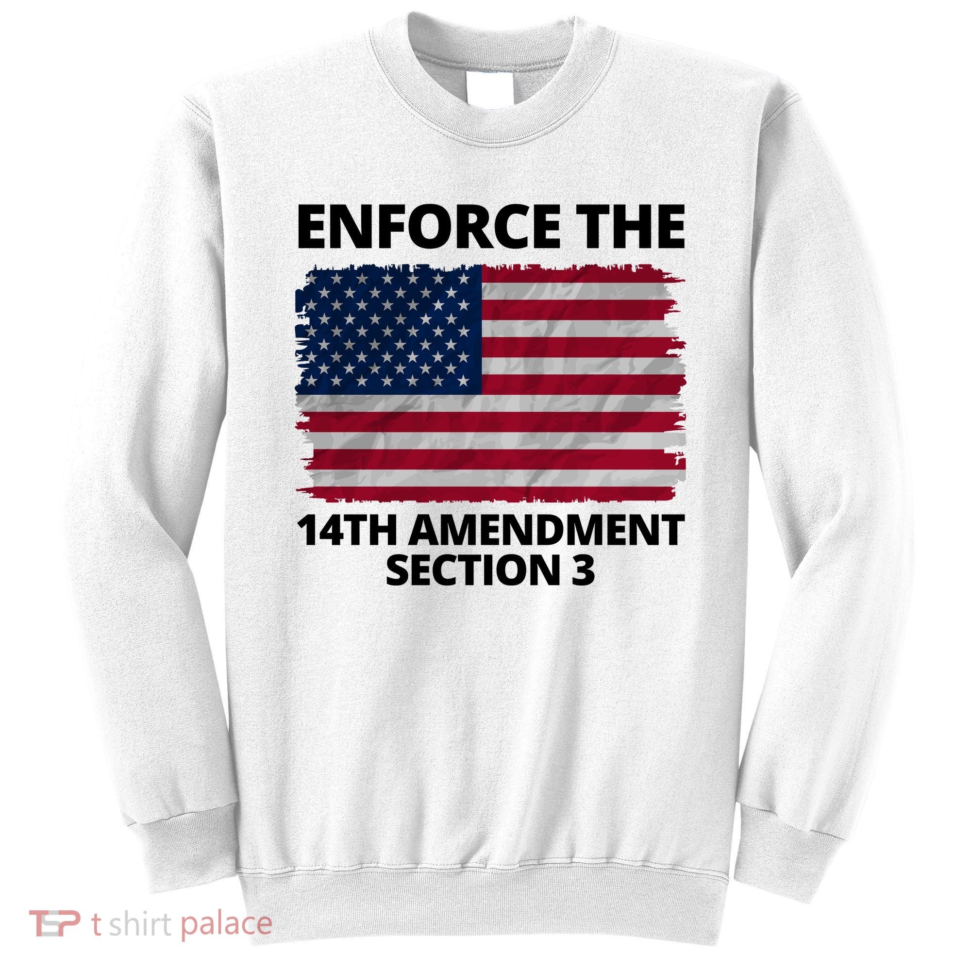 Enforce The 14th Amendment Section 3 Sweatshirt