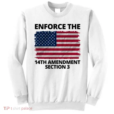 Enforce The 14th Amendment Section 3 Sweatshirt