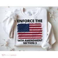 Enforce The 14th Amendment Section 3 Sweatshirt thumb 2