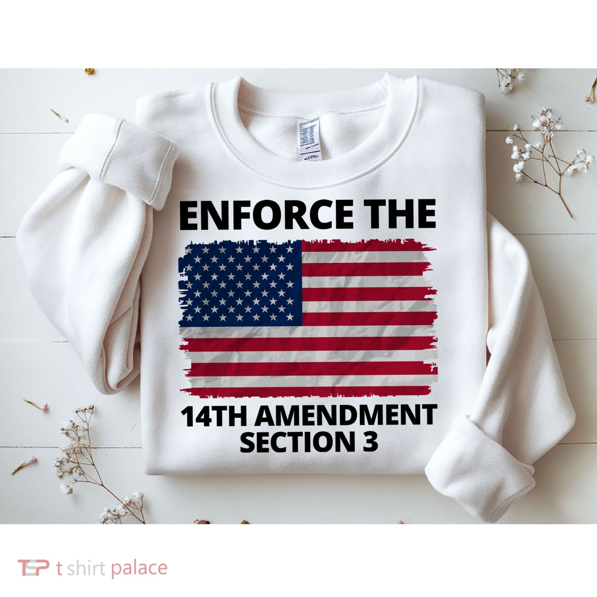Enforce The 14th Amendment Section 3 Sweatshirt