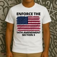 Enforce The 14th Amendment Section 3 T-Shirt thumb 3