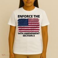 Enforce The 14th Amendment Section 3 T-Shirt thumb 4