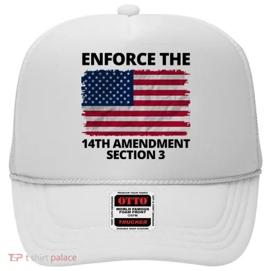 Enforce The 14th Amendment Section 3 Hat