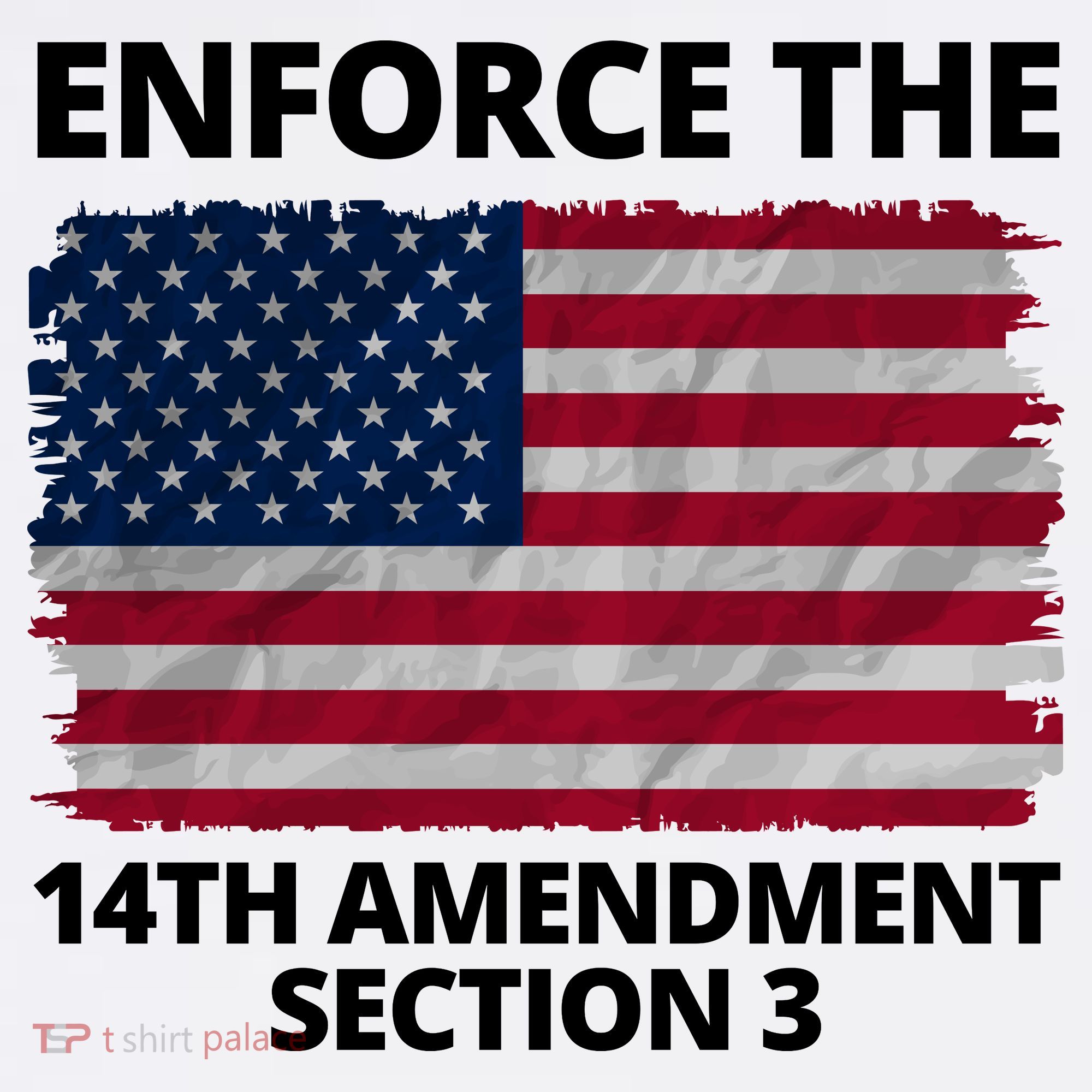 Enforce The 14th Amendment Section 3 Tank Top