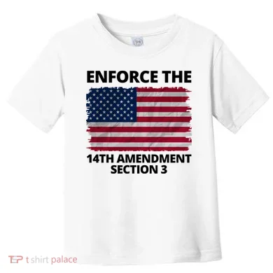 Enforce The 14th Amendment Section 3 Toddler T-Shirt
