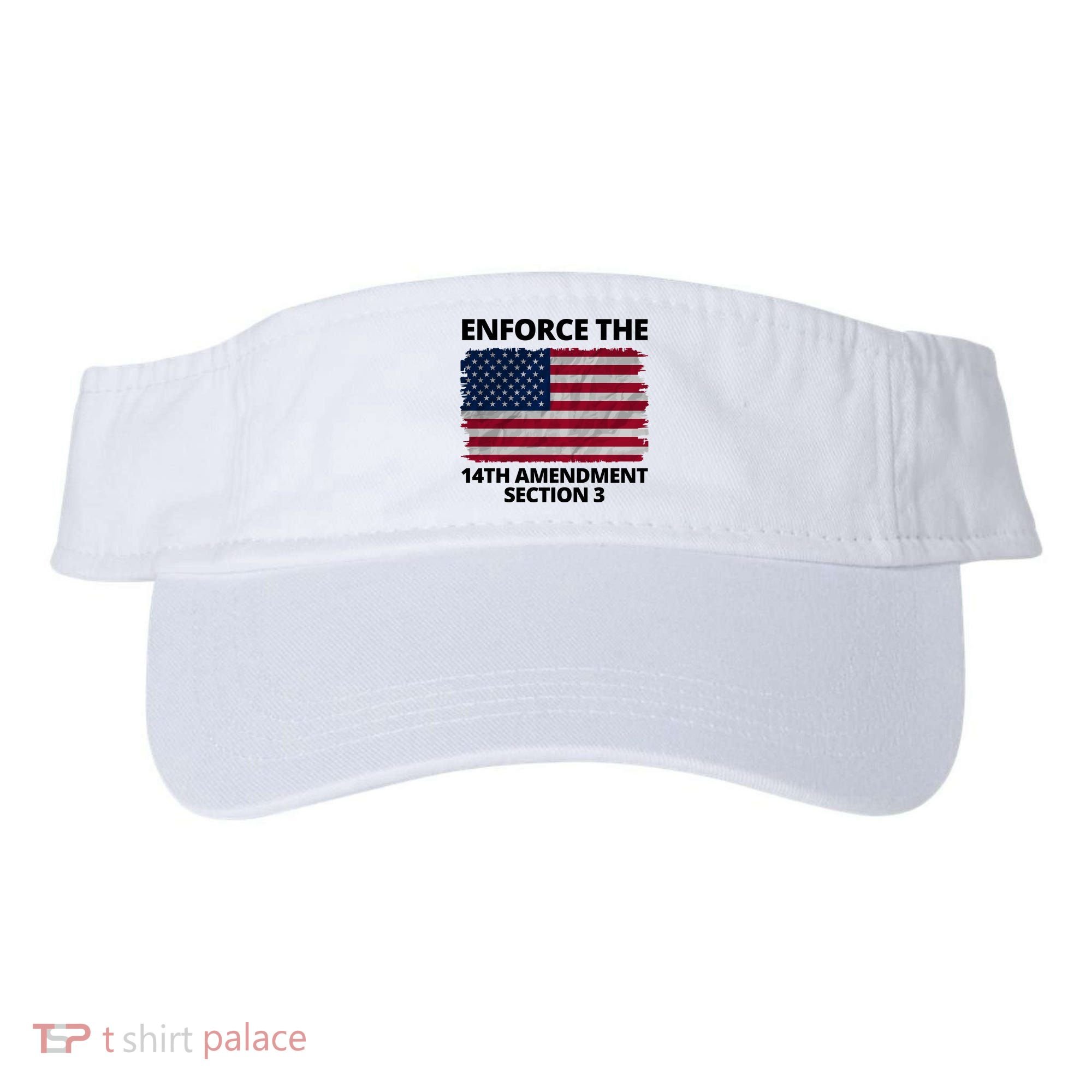 Enforce The 14th Amendment Section 3 Visor