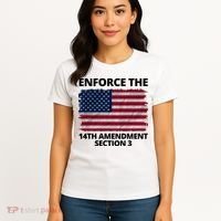 Enforce The 14th Amendment Section 3 Women's T-Shirt thumb 4
