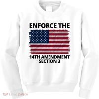 Enforce The 14th Amendment Section 3 Kids Sweatshirt thumb 0