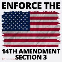 Enforce The 14th Amendment Section 3 Kids Hoodie thumb 5