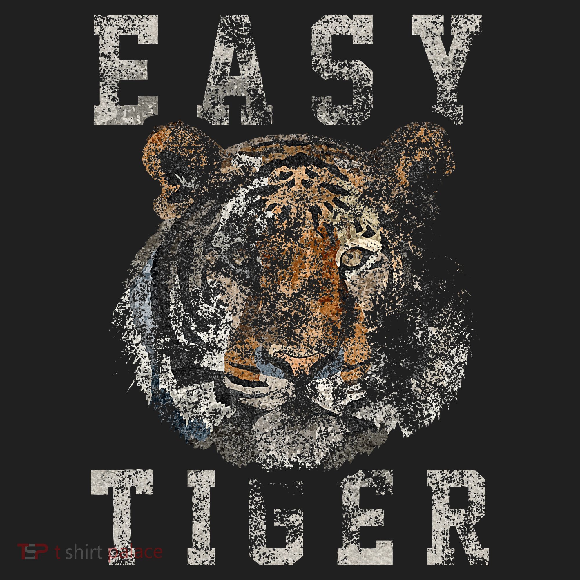 Easy Tiger Distressed Casualchic Beanie