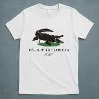 Escape To Florida Ron Desantis Us Flag Vintage Funny T-Shirt thumb 5