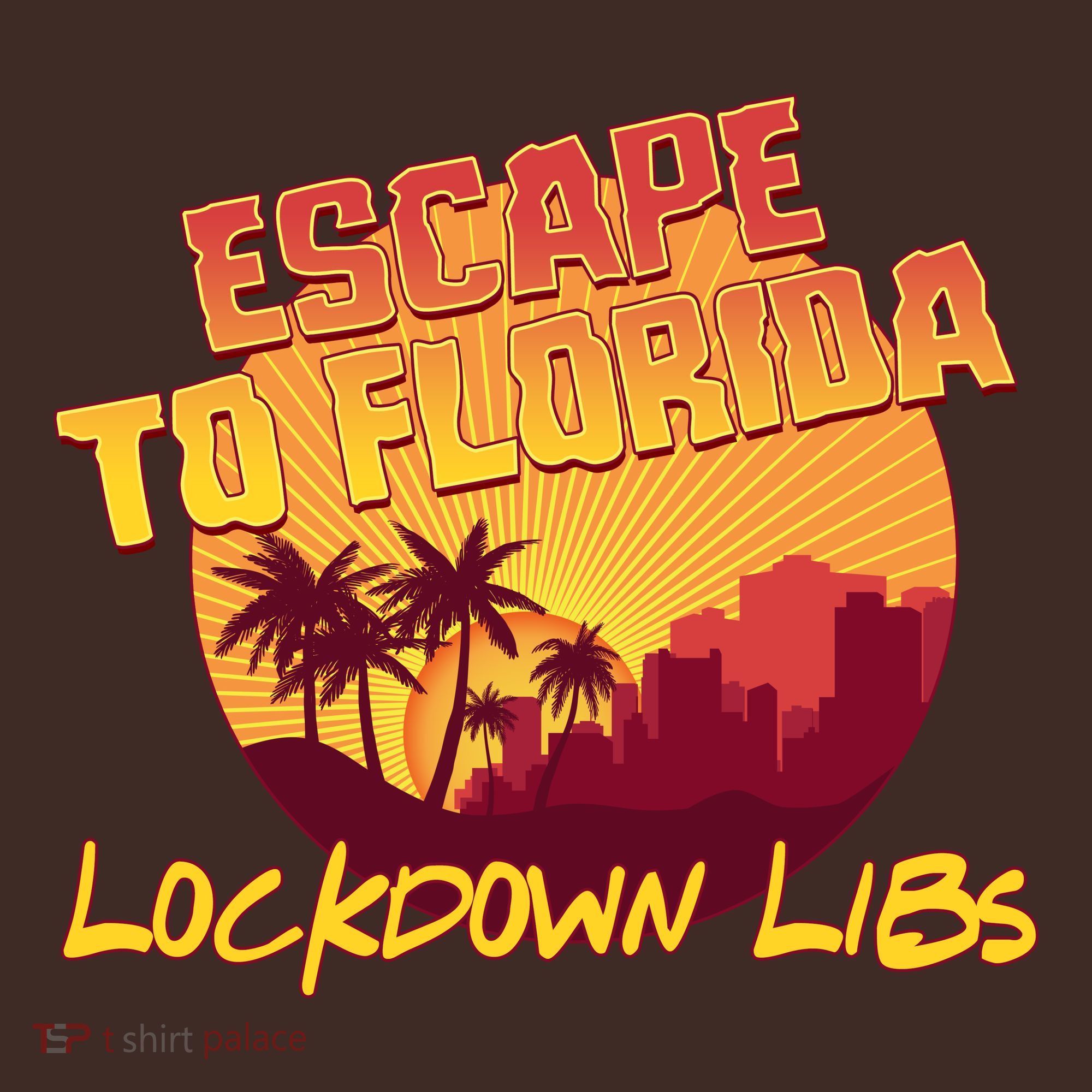 Escape To Florida Lockdown Libs Mousepad