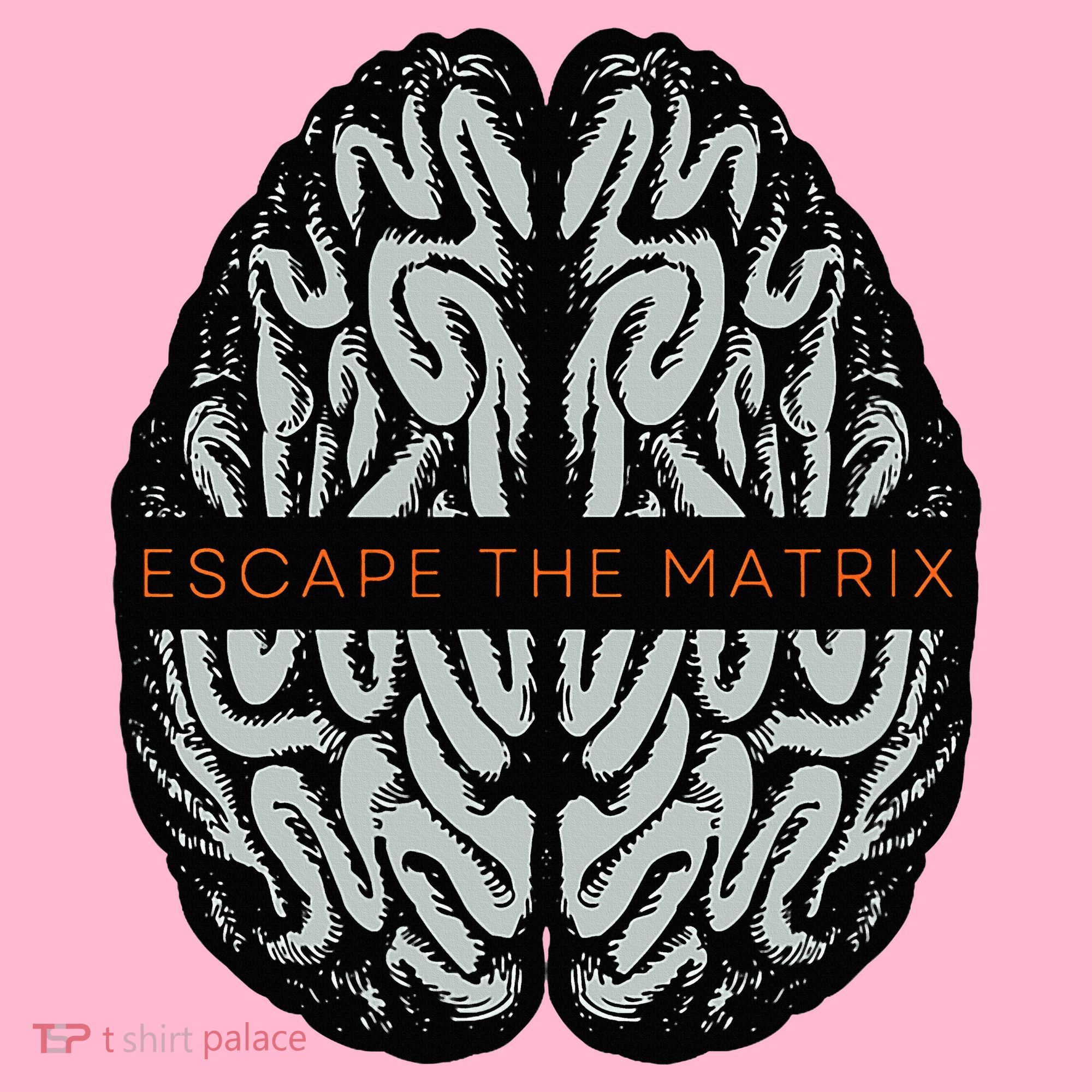 Escape The Matrix Coaster
