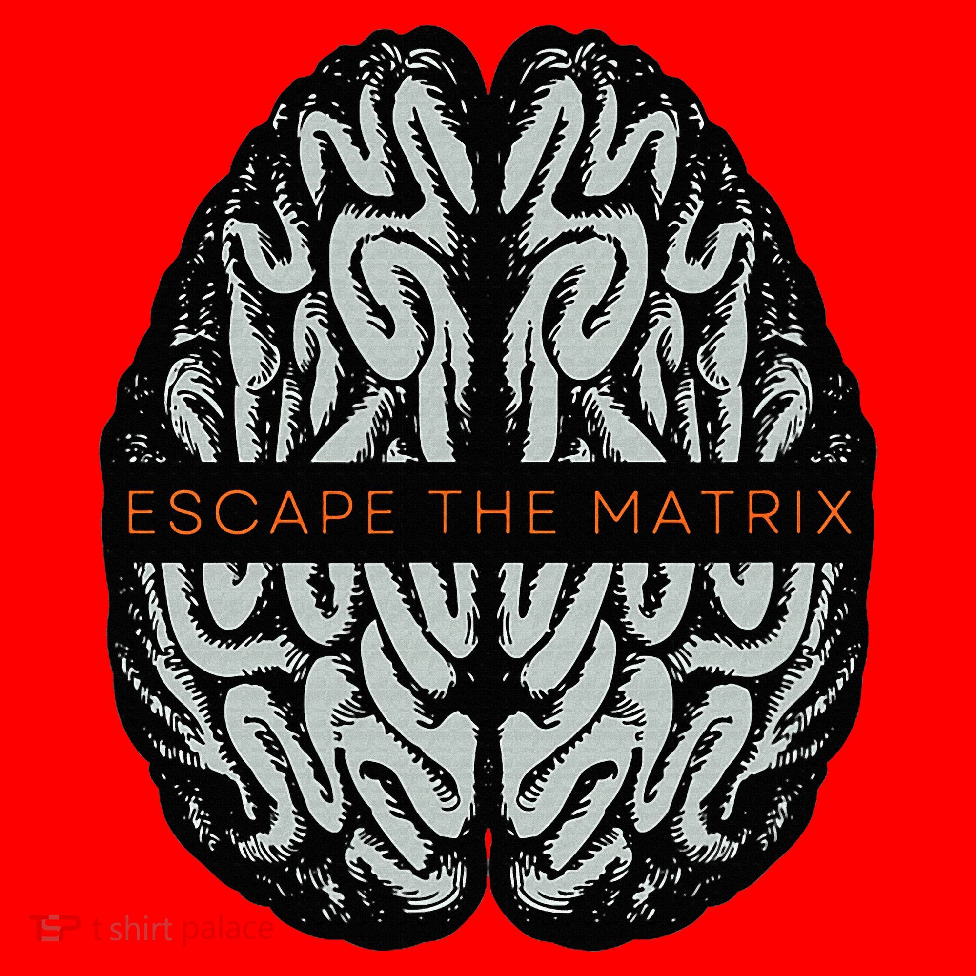 Escape The Matrix Santa Hat