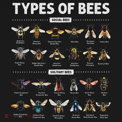 Educational Types Of Bees Chart For Bee Lovers Tie-Dye Long Sleeve Shirt