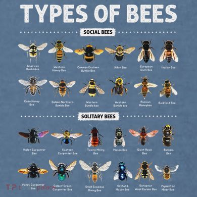 Educational Types Of Bees Chart For Bee Lovers Comfort Colors Garment-Dyed Hooded Sweatshirt