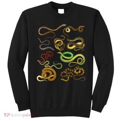 Educational Types Of Snake Gift Sweatshirt