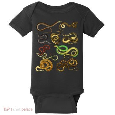 Educational Types Of Snake Gift Baby Bodysuit