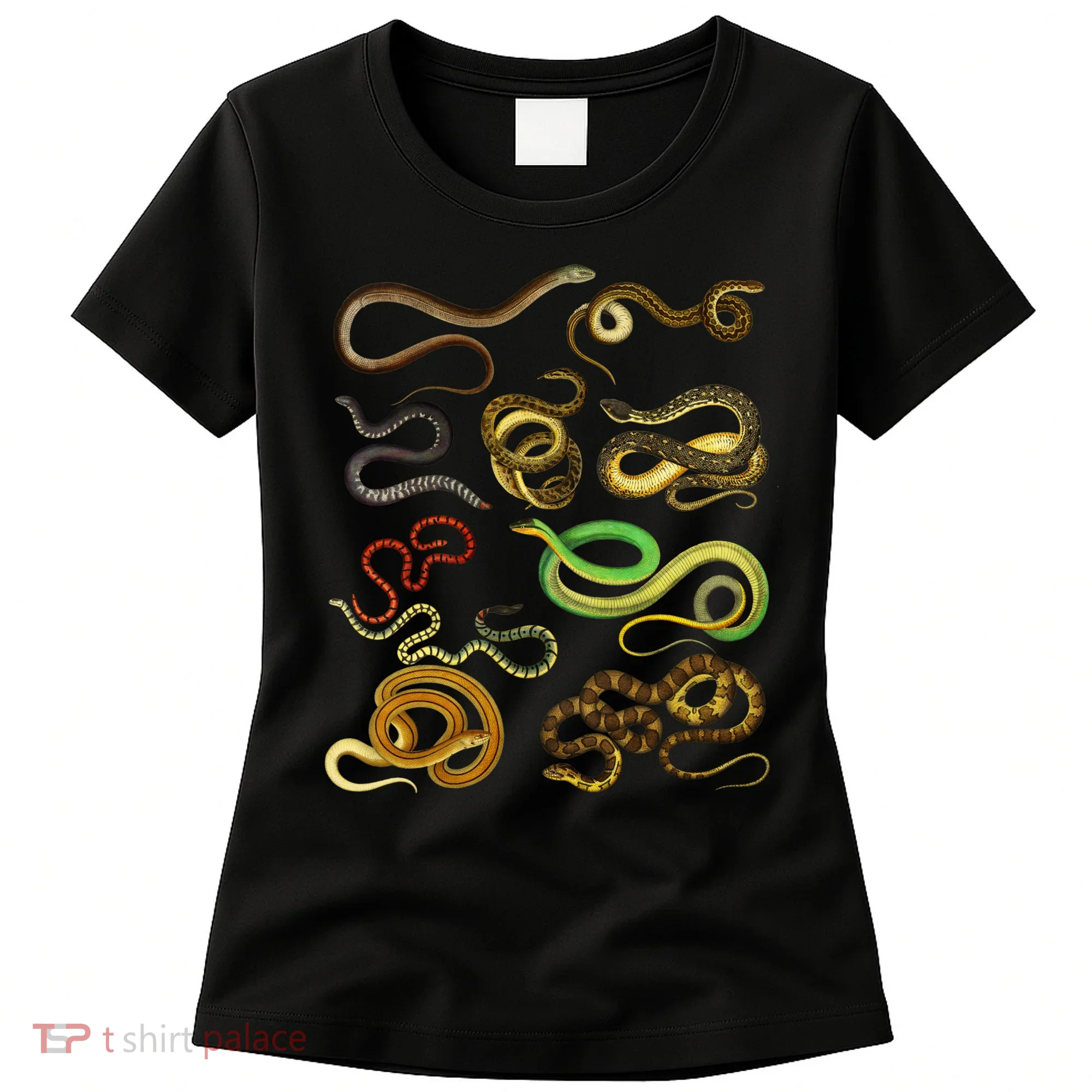 Educational Types Of Snake Gift Women's T-Shirt
