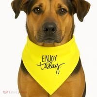 Enjoy Today Positive USA-Made Doggie Bandana thumb 1