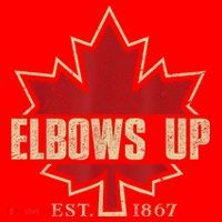 Elbows Up Canada True North Strong Free Proud Canadian Santa Hat thumb 1