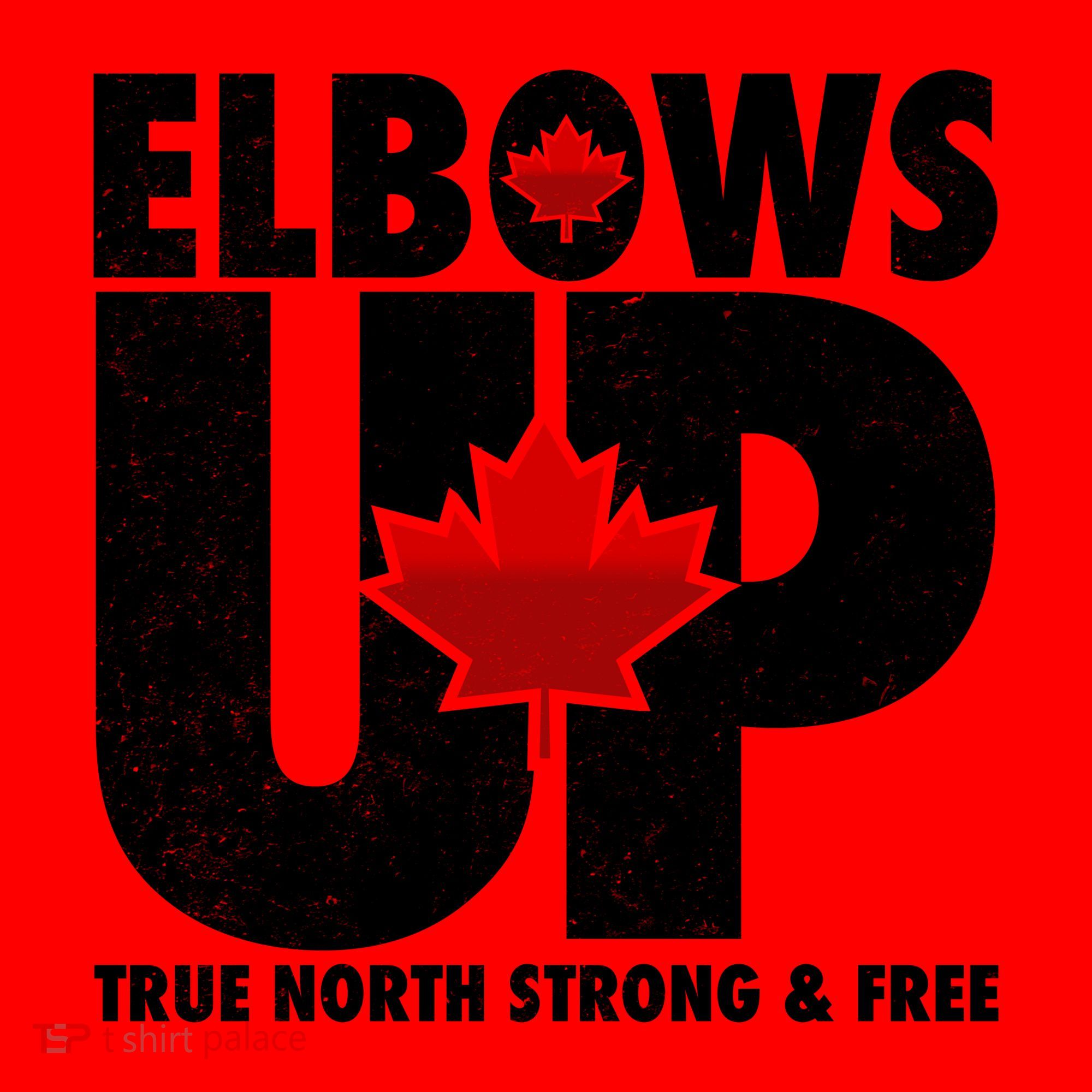 Elbows Up Canada True North Strong and Free Santa Hat