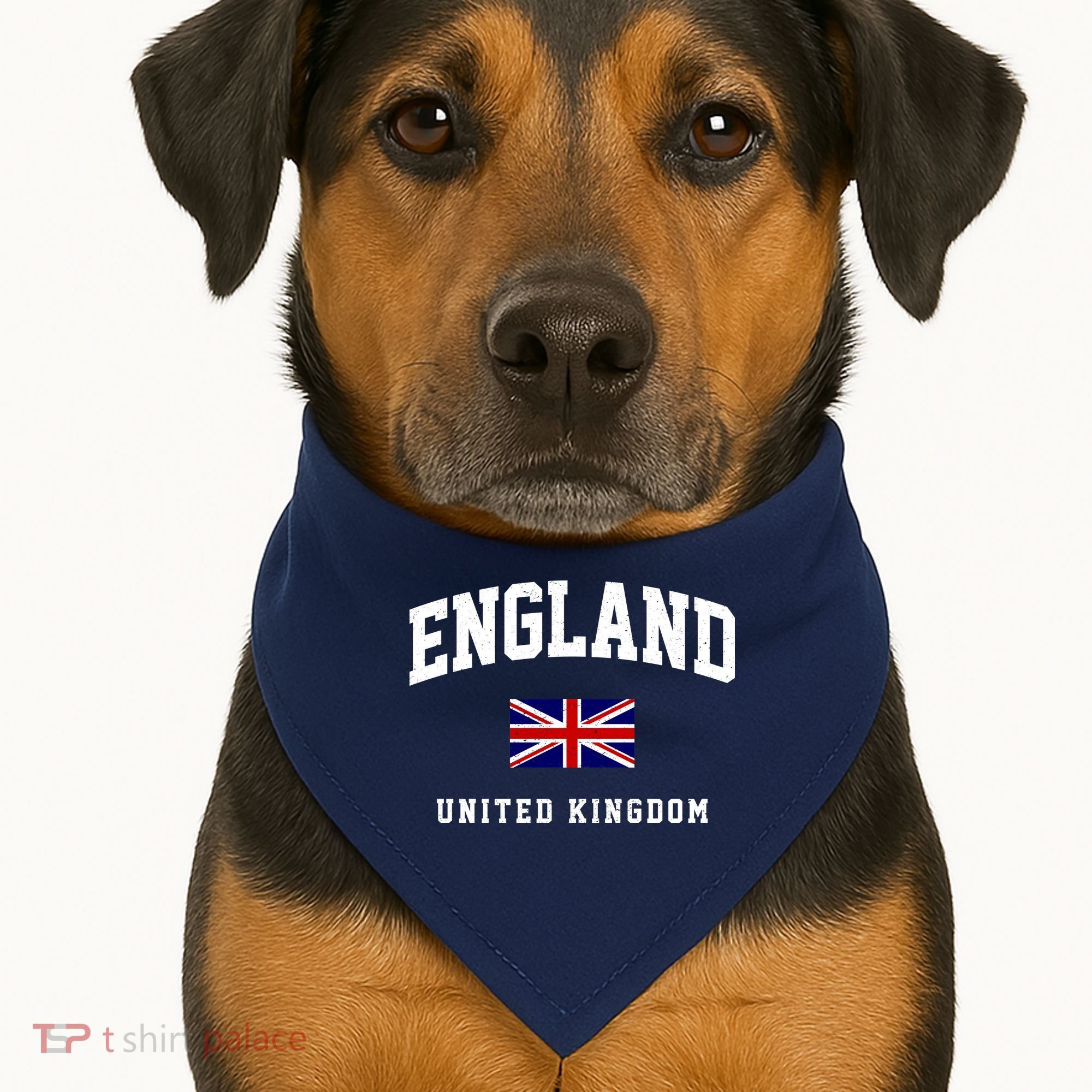 England Varsity College Country Flag USA-Made Doggie Bandana