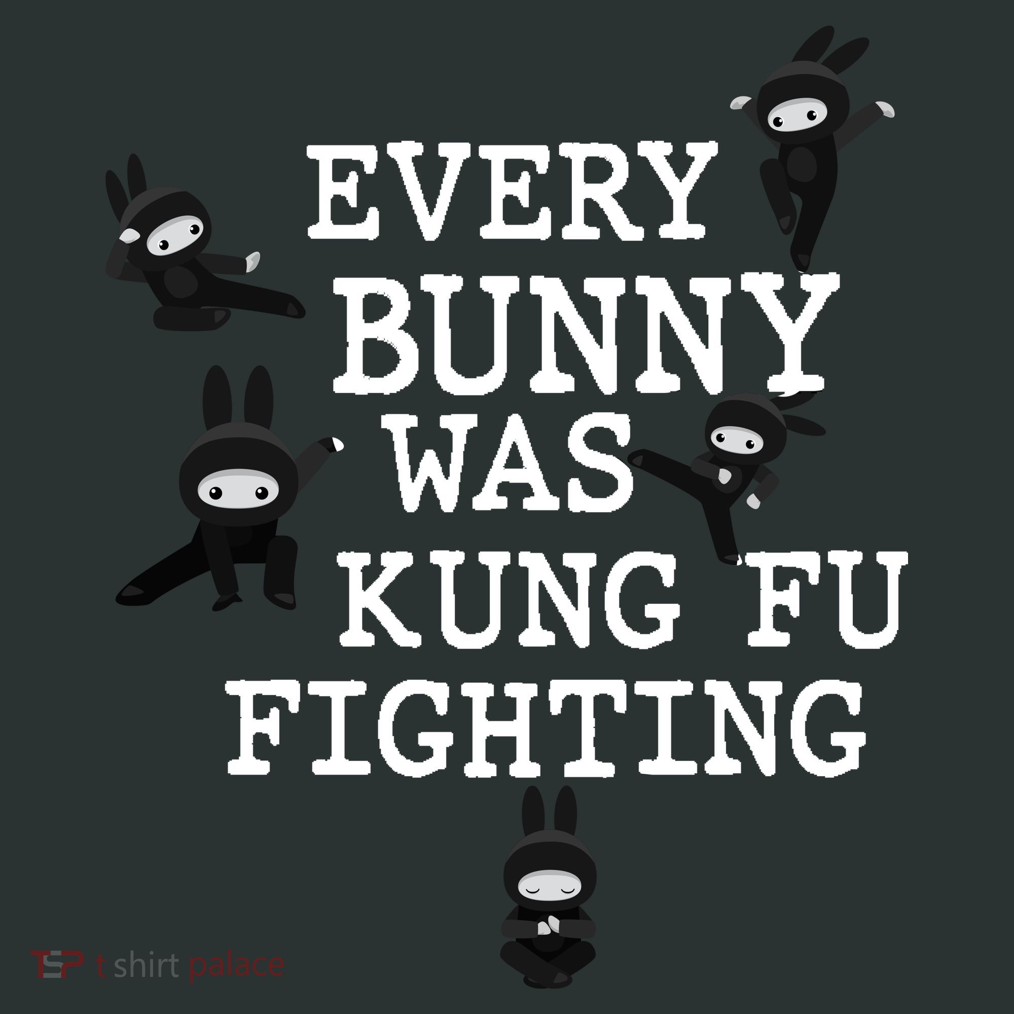 Every Bunny Was Kung Fu Fighting T-Shirt