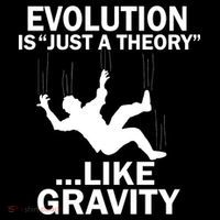 Evolution Is Just A Theory Like Gravity Hoodie thumb 7