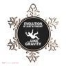 Evolution Is Just A Theory Like Gravity Ornament