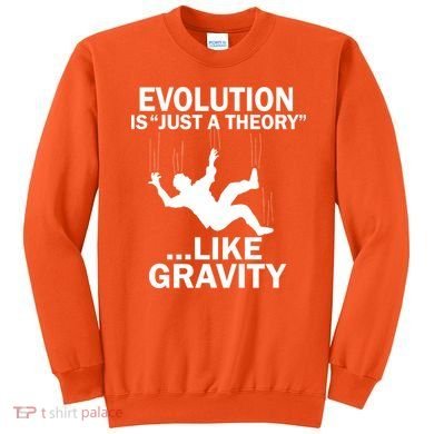 Evolution Is Just A Theory Like Gravity Sweatshirt