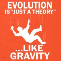 Evolution Is Just A Theory Like Gravity Toddler T-Shirt thumb 2