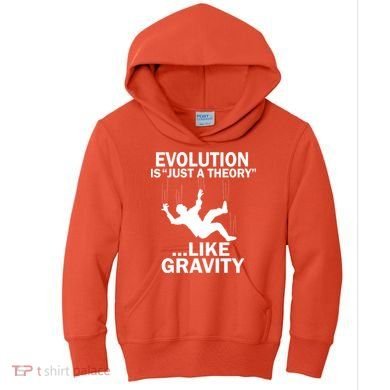 Evolution Is Just A Theory Like Gravity Kids Hoodie