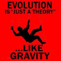Evolution Is Just A Theory Like Gravity Santa Hat thumb 1