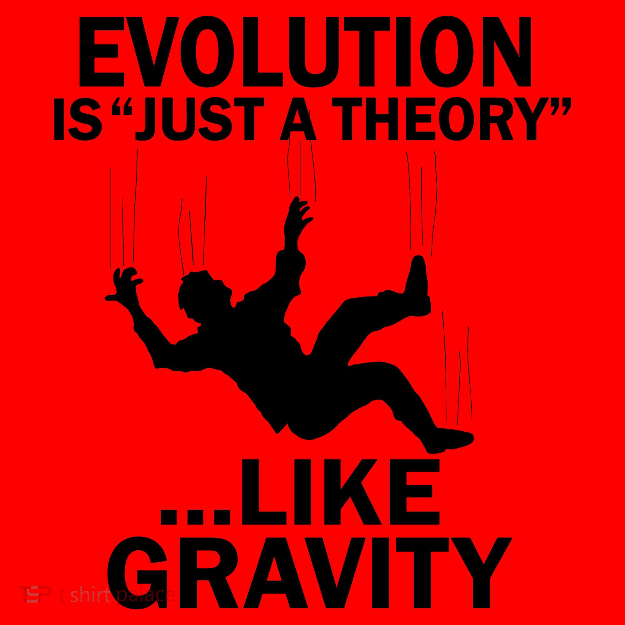 Evolution Is Just A Theory Like Gravity Santa Hat