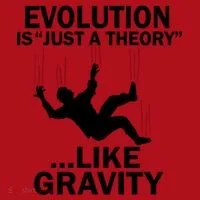 Evolution Is Just A Theory Like Gravity Christmas Stocking thumb 1