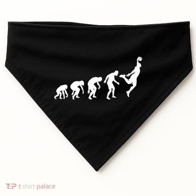 Evolution of a Hooper Basetball Player Design USA-Made Doggie Bandana