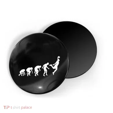 Magnet