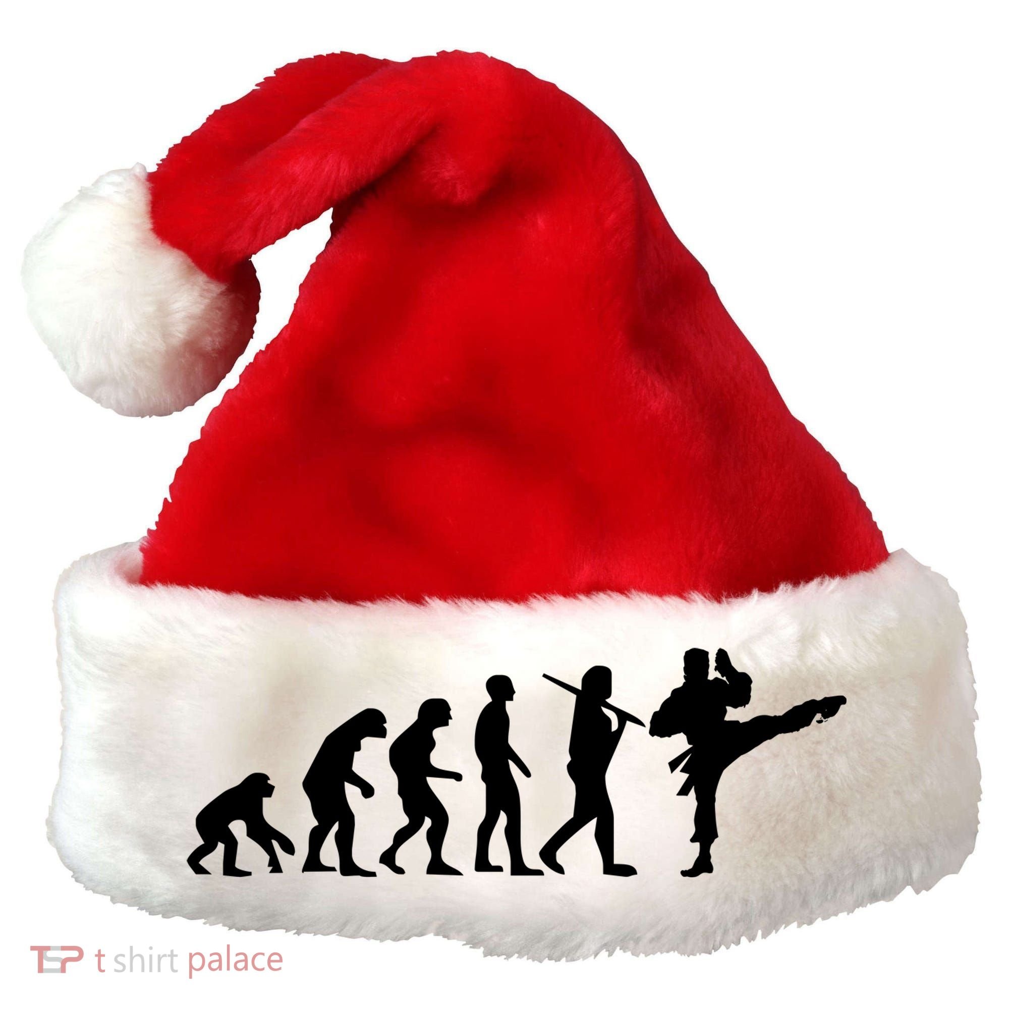 Evolution of Karate Santa Hat