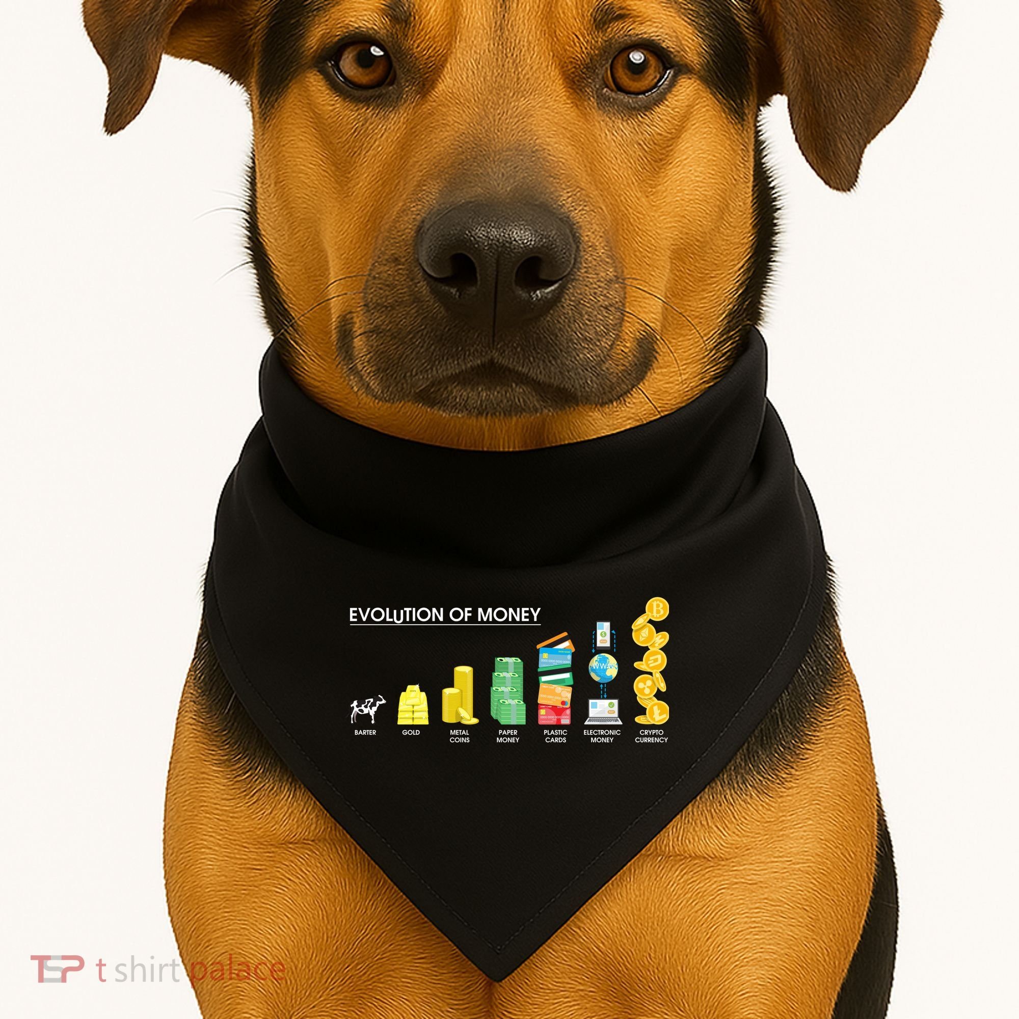 Evolution of Money USA-Made Doggie Bandana