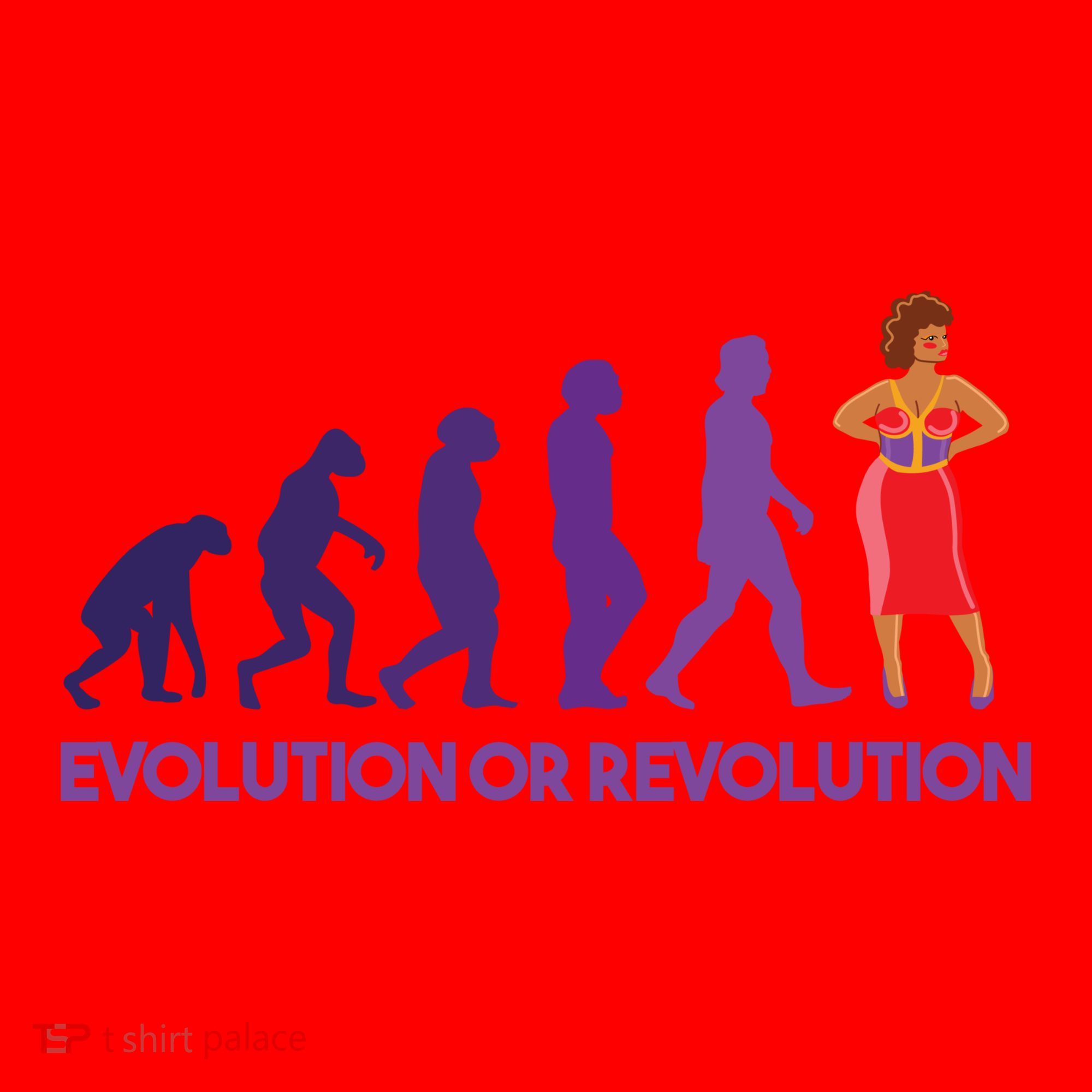 Evolution Or Revolution Santa Hat