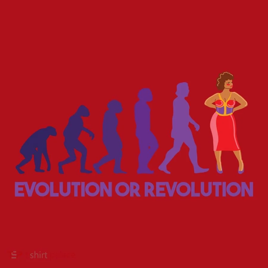 Evolution Or Revolution Christmas Stocking