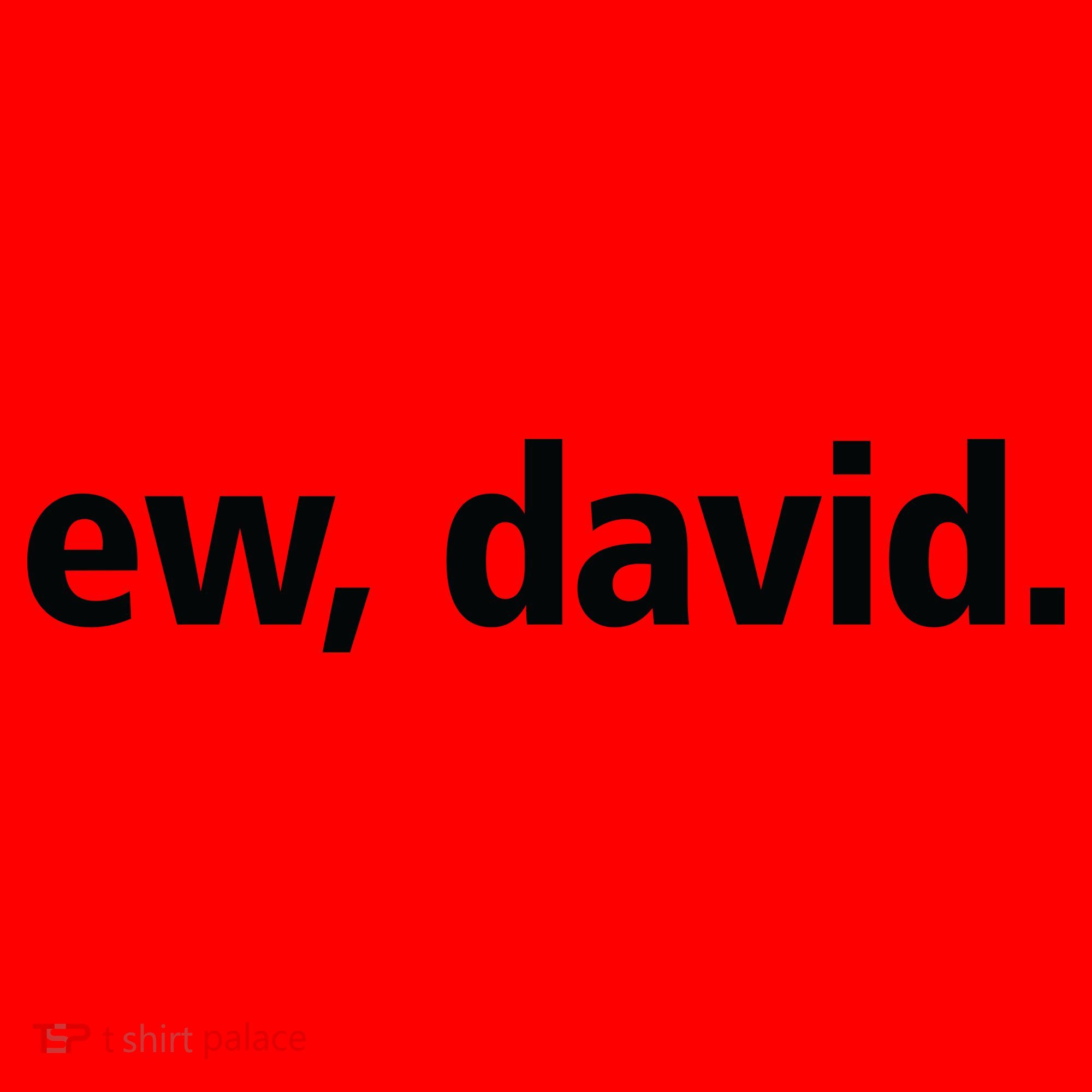 Ew David Simple Logo Santa Hat
