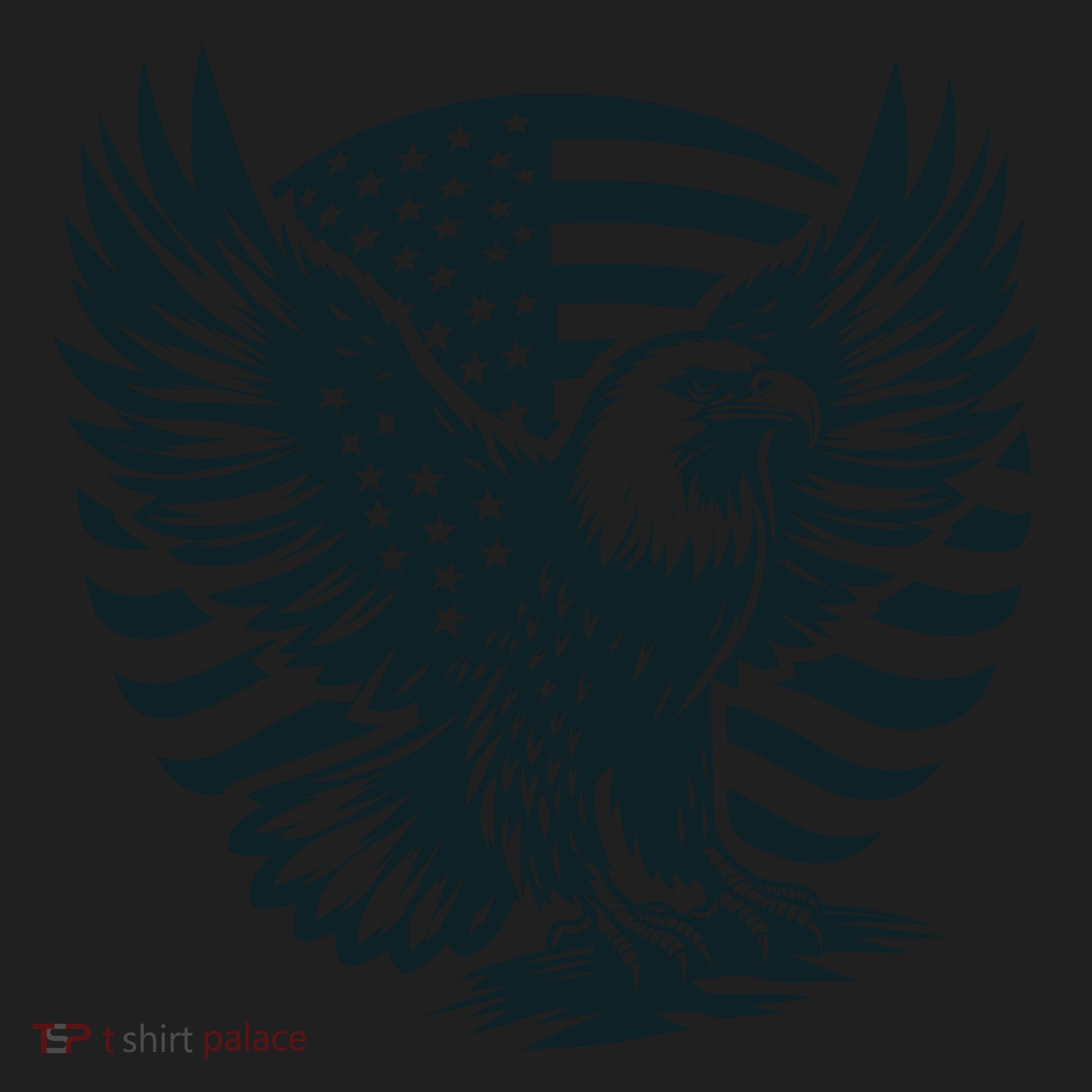 Eagle With American Flag Women's Sweatshirt