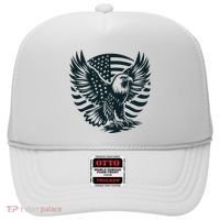 Eagle With American Flag Hat thumb 0