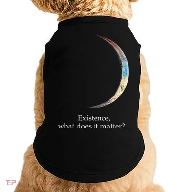 Existence What Does It Matter Astronomy Physics Doggie Tank