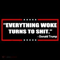 Everything Woke Turns To Shit Bucket Hat thumb 4