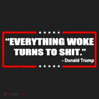Everything Woke Turns To Shit Urban Oversized Heavyweight T-Shirt