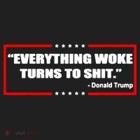 Everything Woke Turns To Shit Hat thumb 2