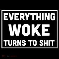 Everything Woke Turns To Shit Toddler T-Shirt thumb 4